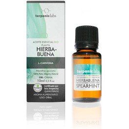 Terpenic Hierbabuena 10ml Bio