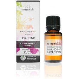 Terpenic Lavandino 10ml Bio