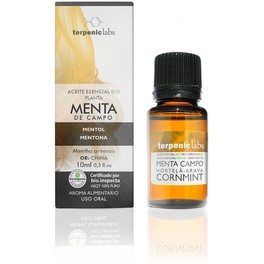 Terpenic Menta Campo 10ml Bio