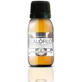 Terpenic Calofilo V 60ml Bio