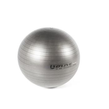 Balón De Fitness 75cm O'live Gris