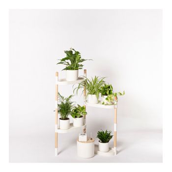 Estantería Para Plantas; Color Blanco; 4 Bandejas Con Riego Automático