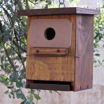 Caja Nido Pájaros Anti Pícidos