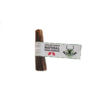 Asta De Ciervo Natural Horn - Talla M (80 G - 99 G)