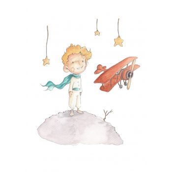 Vinilo Little Prince