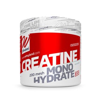 Wheyland Creatine Monohydrate 200 Mesh Sin Sabor 300 Gr
