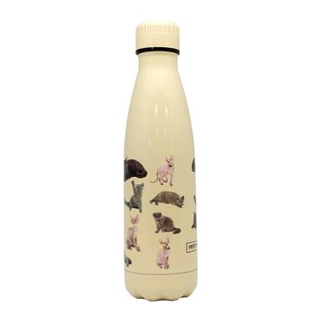 Botella Gatos Amarilla 500ml Doble Pared