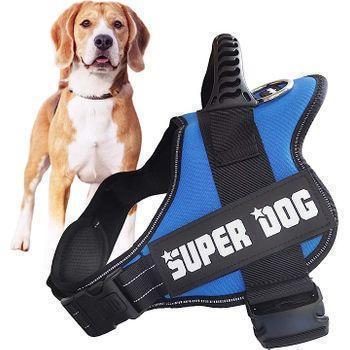 Edipets Arnés Para Perro Antitirones, Ajustable Y Personalizable (azul Xxl)