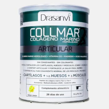 Collmar Articular Limón Polvo 280g Drasanvi