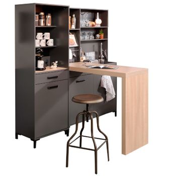 Armario Columna Modular 60 Cm Para Cocina Eko Color Gris Brillo 1 Puerta 3  Estantes Moderno Almacenaje con Ofertas en Carrefour