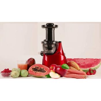 Licuadora Prensado Frío, Para Verduras Y Frutas, Slow Juicer, Baja  Velocidad 60 Rpm, Acero Inox, Reverse Plata 150w Mpm Mso-12m con Ofertas en  Carrefour