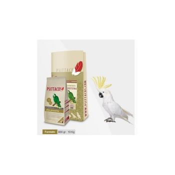 Psittacus Pienso Alta Proteina 800 Gr