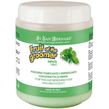 Acondicionador Fruit Of The Groomer De  Menta 1 Litro | Oferta Exclusiva