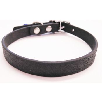 Collar Para Gato Color Negro Con Cascabel | Oferta Exclusiva