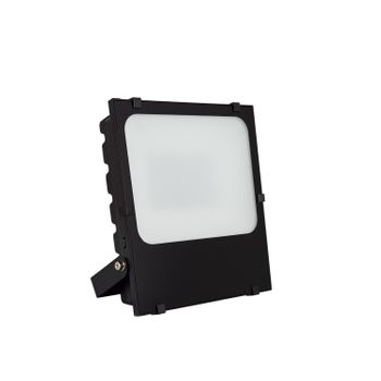 Foco Proyector Led 50w 145 Lm/w Ip65 He Frost Pro Regulable Blanco Neutro  4000k