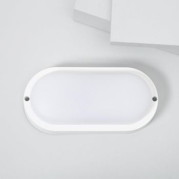 Plafón Led 25w Oval Para Exterior 96x198 Mm Ip65 Hublot White Blanco Frío