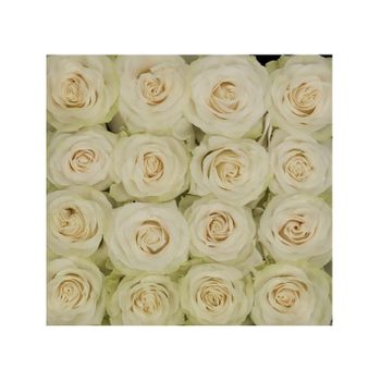 Rosas Variadas  Flor Natural  Ramo De 25 Tallos  60cm De Alto  Blancas Mondial