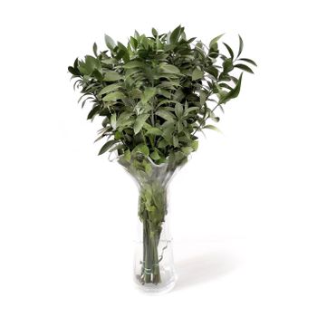 Ruscus  Flor Natural  Ramo De 50 Tallos  Verde  80cm De Alto