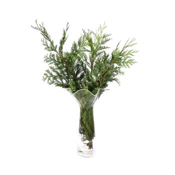 Thuja  Flor Natural  Ramo De 5 Tallos  Verde  60cm De Alto