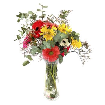 Ramo Bouquet Variado Flordum  Flores Naturales  Ramo De 12 Tallos