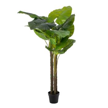 Árbol De Bambú Artificial Con 1288 Hojas Verde 180 Cm Vidaxl con Ofertas en  Carrefour