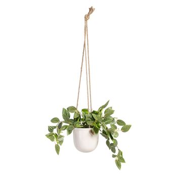 Planta Decorativa 33 X 33 X 24 Cm Blanco Verde Pvc