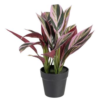 Planta Decorativa 44 X 39 X 48 Cm Rosa Verde Pvc