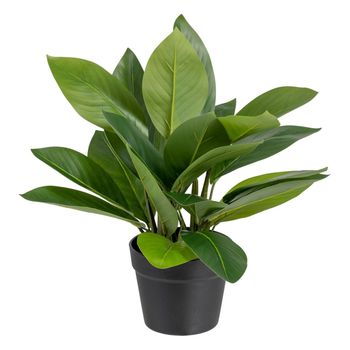 Planta Decorativa 50 X 45 X 48 Cm Verde Pvc
