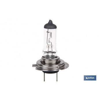 Bombilla H7 12v 55w luz neutra 4200k