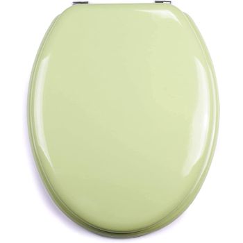 Tapa Wc Universal Con Bisagras De Acero Inox De Madera 43,5x37,5 Cm Verde Pastel