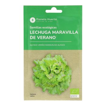 Semillas Ecológicas De Lechuga Maravilla De Verano Planeta Huerto