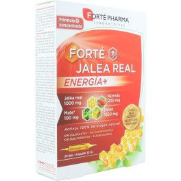 Forte Jalea Real Energía+ - Defensas