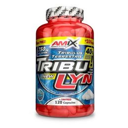 Amix Tribulyn 40 % 120 Cápsulas+100 Cápsulas Free