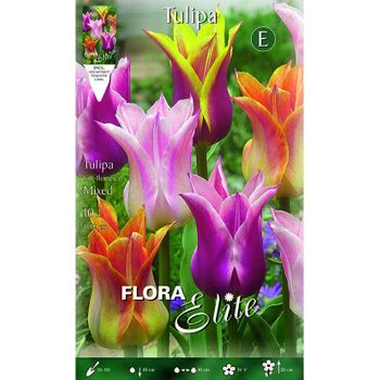 Bulbo Tulipán Flor De Lis Mix Colores Elite 10 Ud