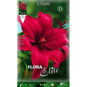 Bulbo Lilium Asiatic Rojo 2 Unidades