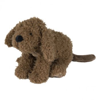 El Labradoodle Larry - No.1