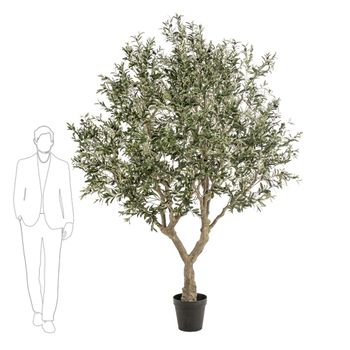 Árbol Olivo. Altura 175 Cm Y 3243 Hojas. Con Tronco Natural Y Olivas De Alto Realismo.