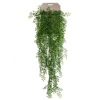 Planta Colgante Arbusto Jazmin De 80 Cm (6 Unidades)