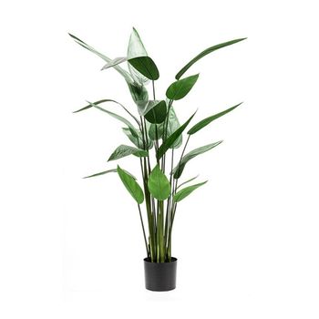 Arbol Heliconia 130 Cm De Altura Y 22 Hojas