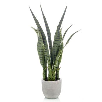 Planta Sansevieria Con Macetero Incluido Altura Total 65 Cm.