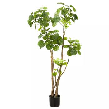 Emerald Mini bonsai artificial Ficus verde 32 cm 420002