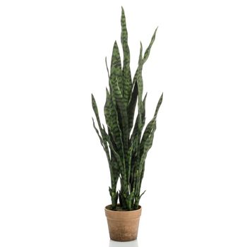 Palmera Artificial Chamaedorea En Maceta 85 Cm Emerald con Ofertas en  Carrefour