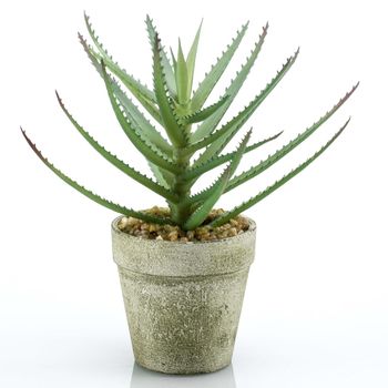 Aloe Artificial Con Maceta 18 Cm Emerald