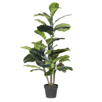 Árbol Ficus Lyrata Elastic De 180 Cm De Alto Y 65 Hojas