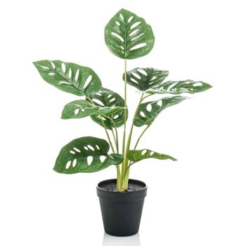 Arbusto Artificial De Monstera Monkey En Maceta 43 Cm Emerald