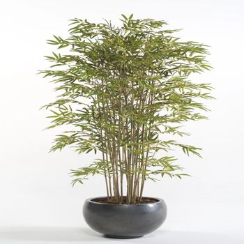 Emerald Mini bonsai artificial Ficus verde 32 cm 420002