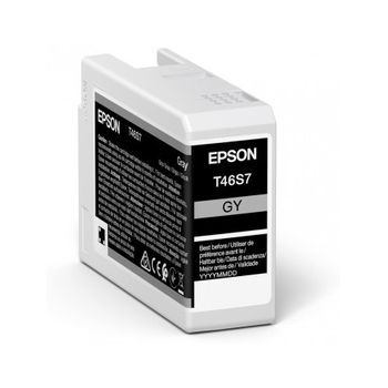 Epson - Ultrachrome Pro Cartucho De Tinta 1 Pieza(s) Original Gris