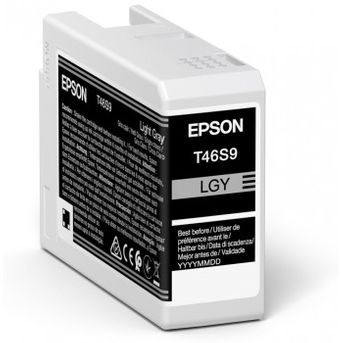 Epson - Ultrachrome Pro Cartucho De Tinta 1 Pieza(s) Original Gris Claro