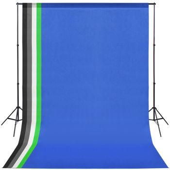 Kit De Estudio Fotográfico Con 5 Fondos De Colores Y Marco Ajustable Vidaxl