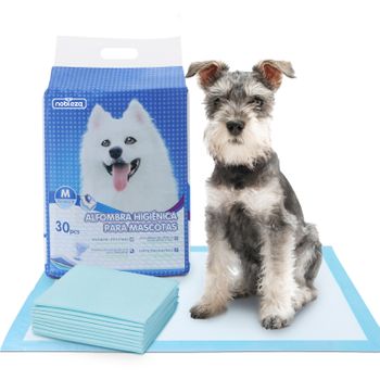 Empapadores Desechables Perros Gatos Toallitas Entrenamiento Empapadores  Perros S/m/l L-20pcs con Ofertas en Carrefour